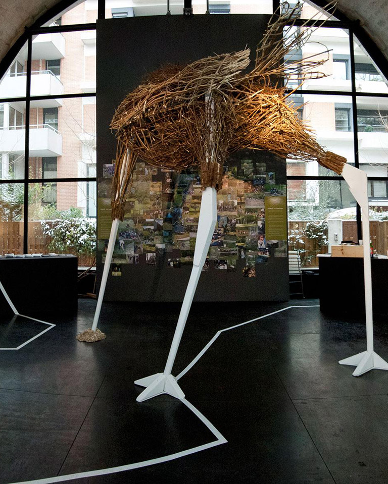 The ostrich at VIA