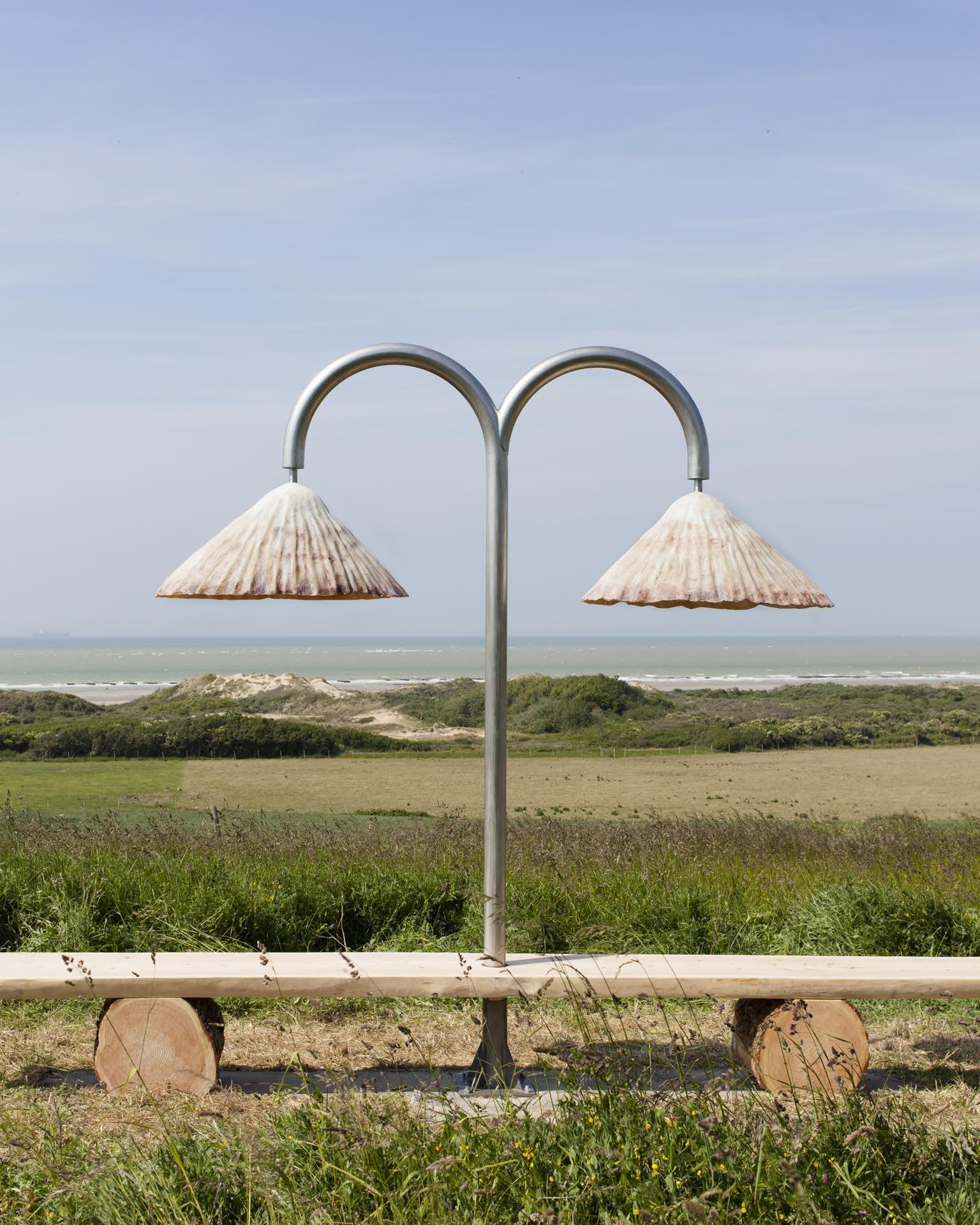 bernicles-in-situ.jpg