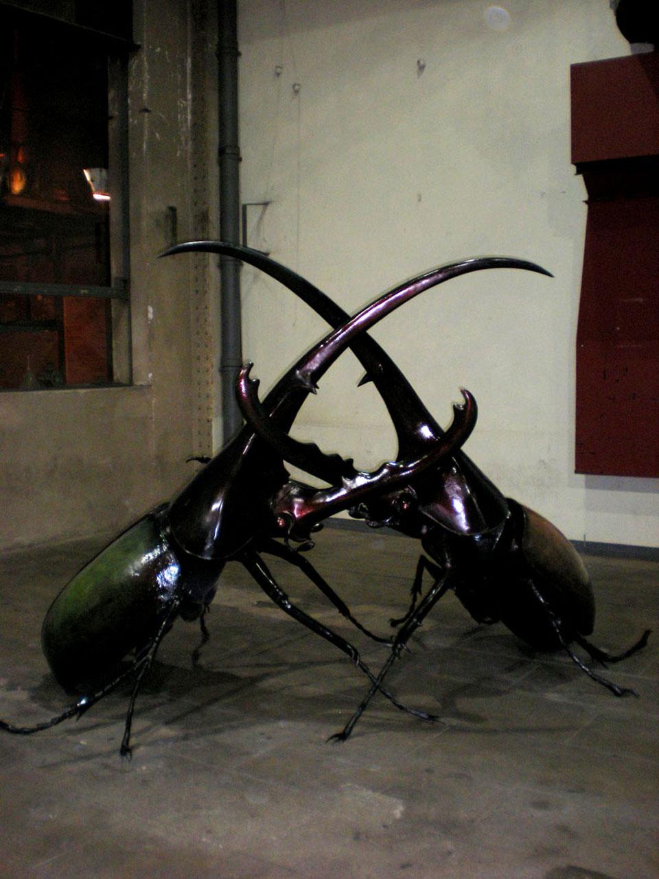 Rhinoceros beetle