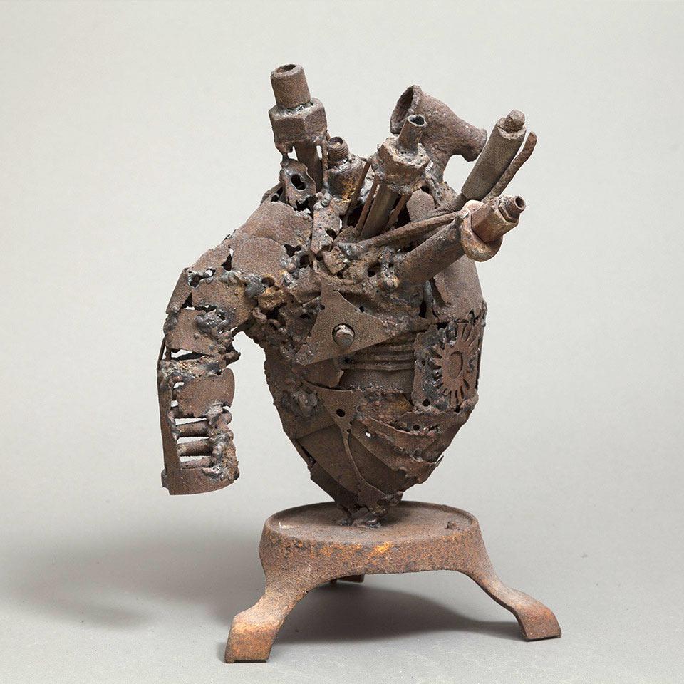 Anatomy