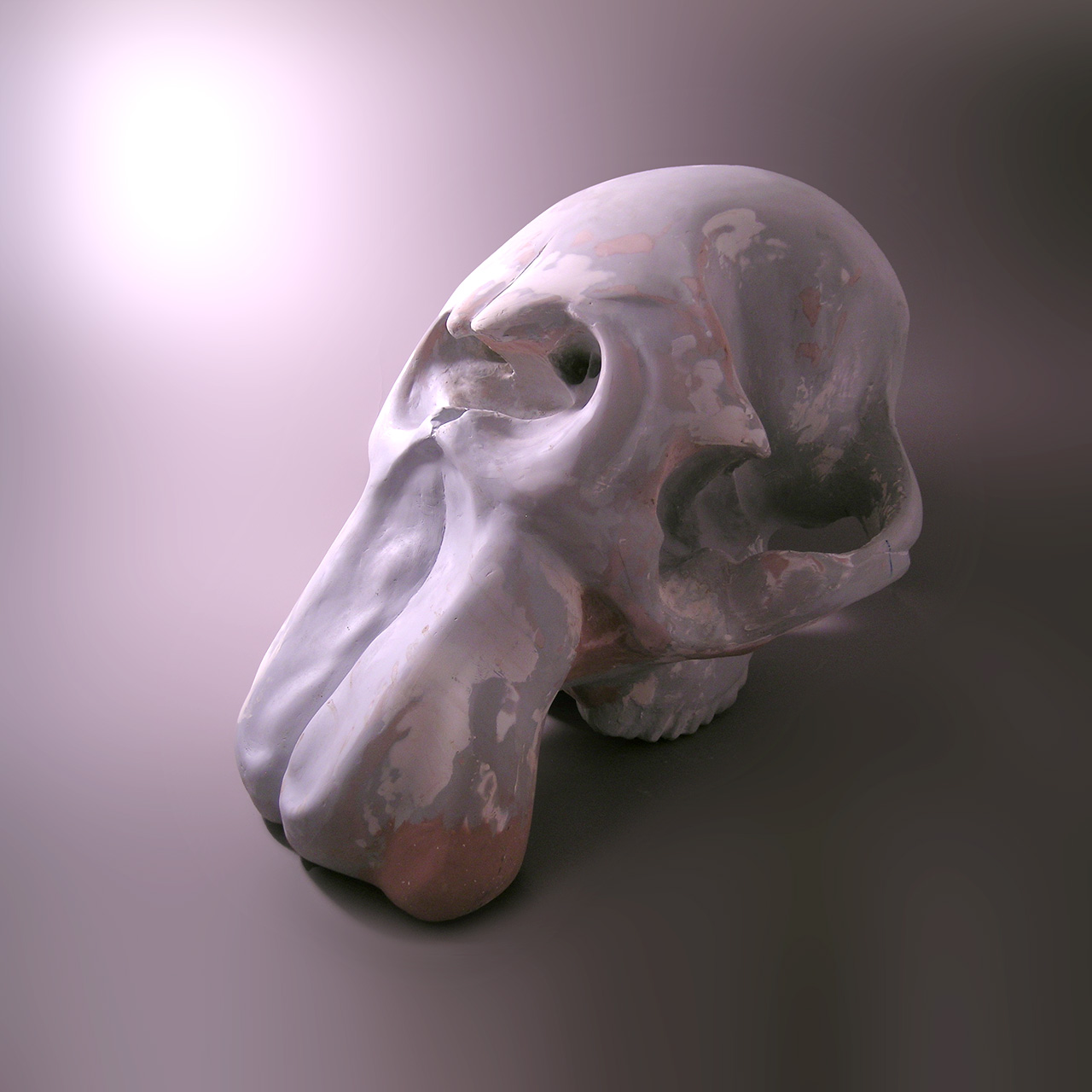 Mammoth Skull