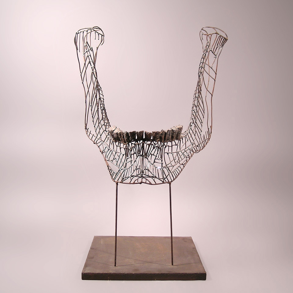 Mandible